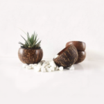 coconut shell plant hanger for Indoor & balcony